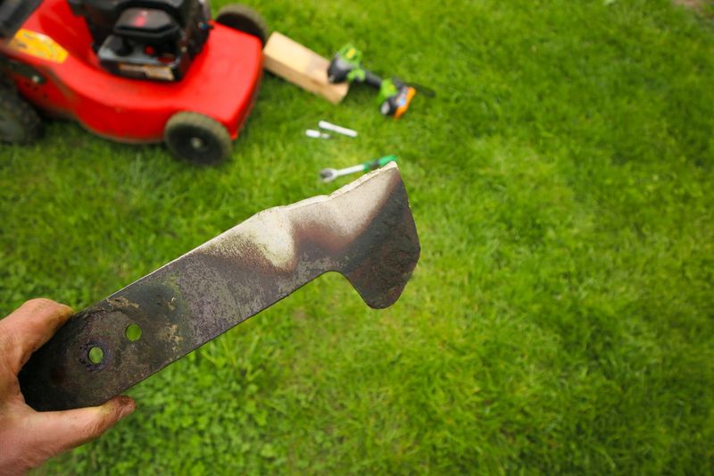 A dull blade tears instead of slicing