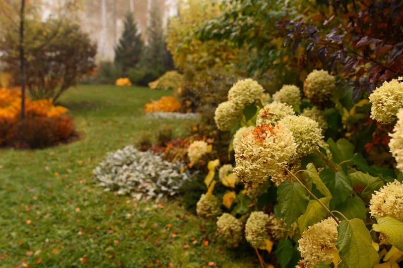 Fertilizing When the Plant Wants to Rest
