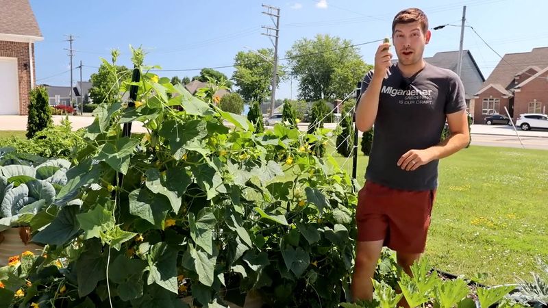 Why yield claims vary from garden to garden