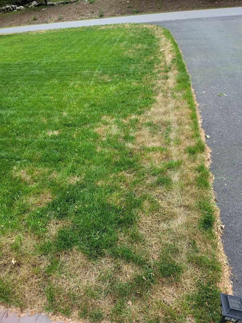 Address Uneven Irrigation and Hot Spots