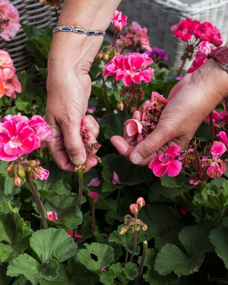 Make the Small Reset, Then Reassess the Plant