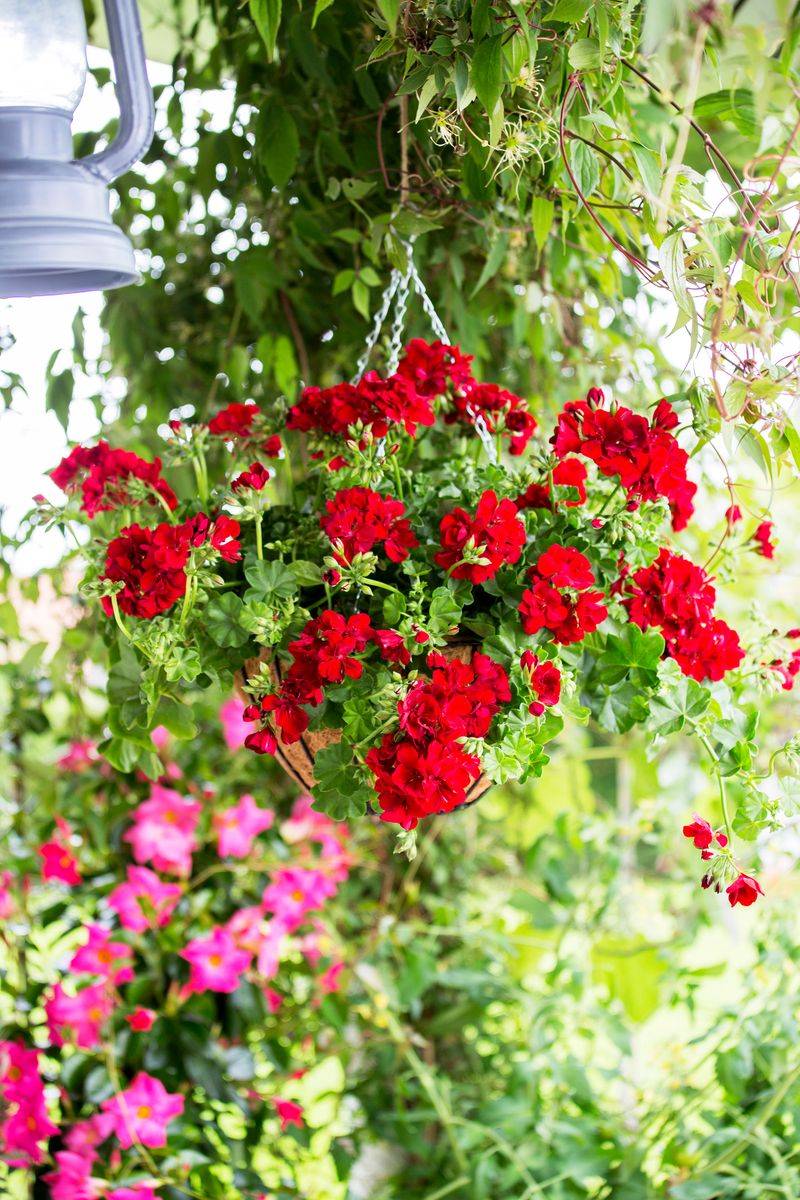 Grow Vertically with Hanging Baskets and Wall Pockets