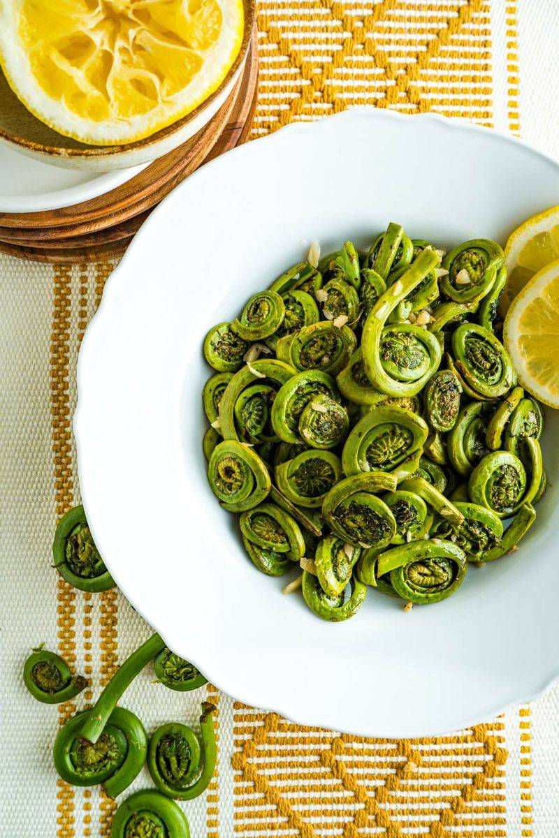 Fiddlehead Ferns