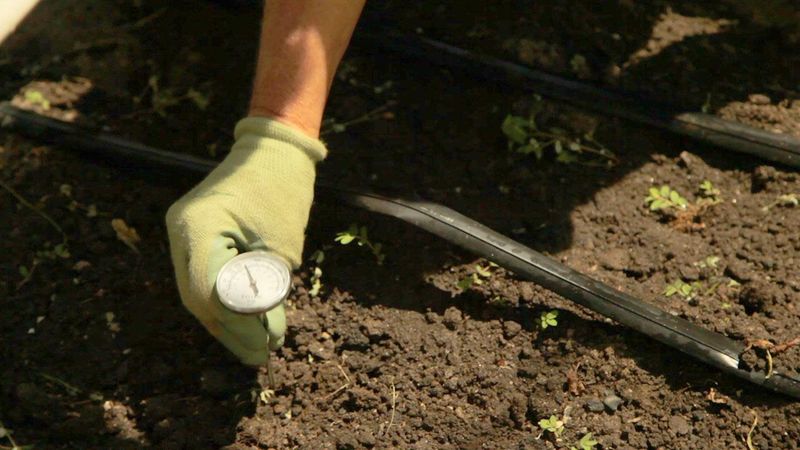 Cold Soil Temperatures