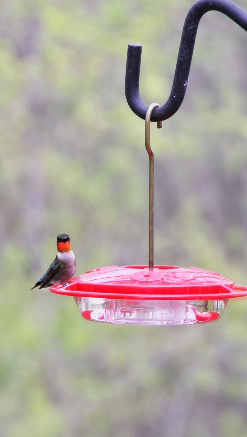 Maintain feeders without disrupting migration