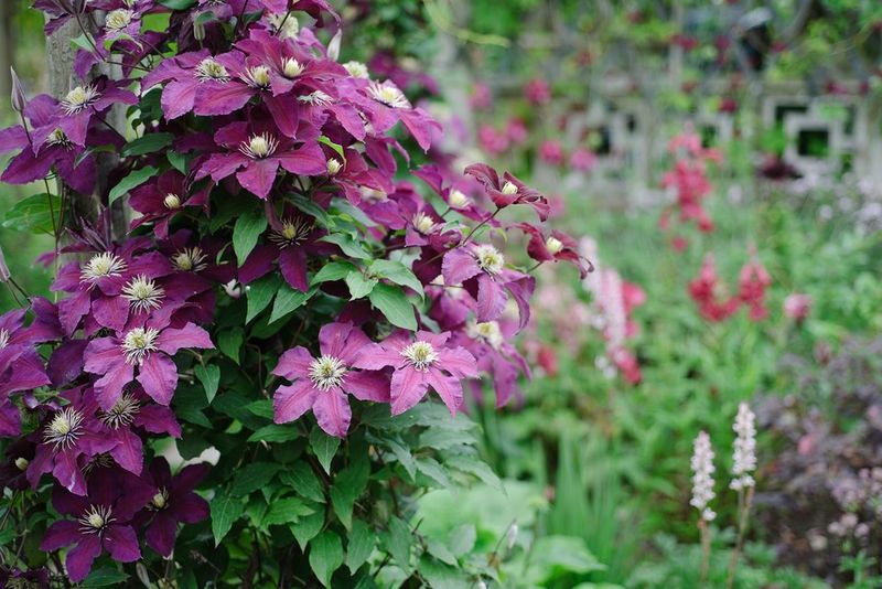 Figure Out Your Pruning Group First
