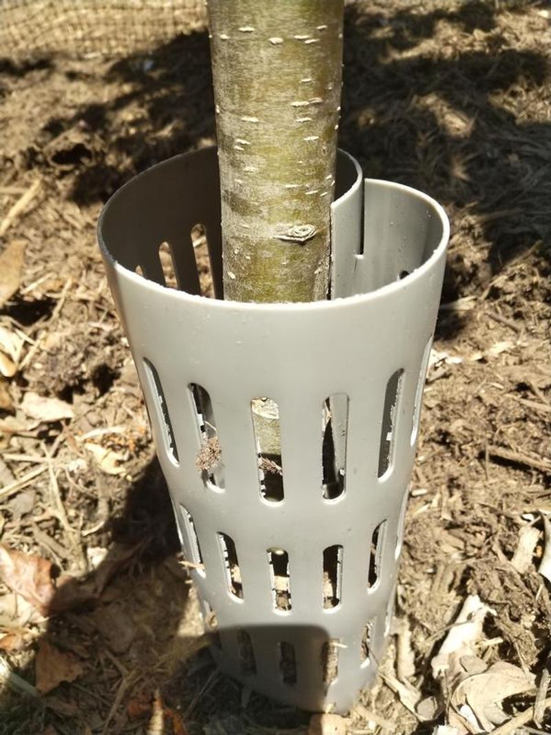 Inspect and adjust guards as the tree grows