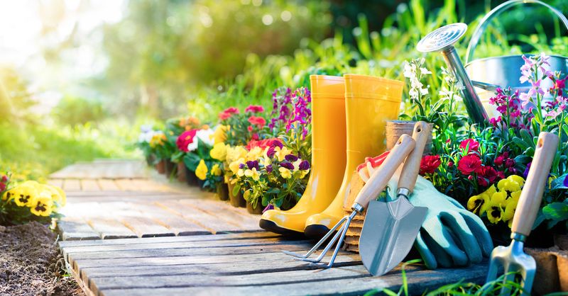 Some gardeners should keep their shoes on