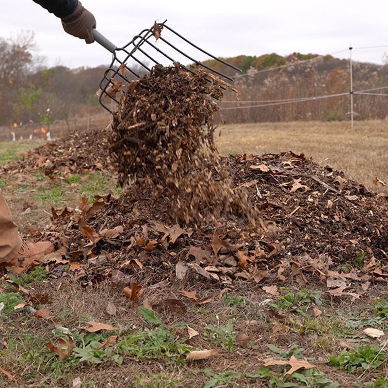 After a Hard Frost, Switch to Winter Cleanup