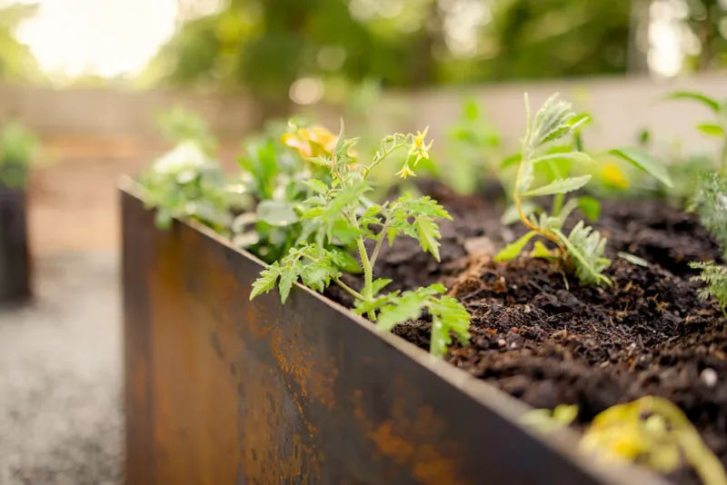 Improving Absorption of Other Essential Nutrients