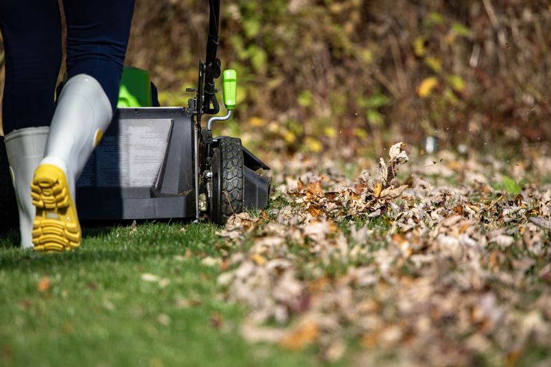 Keep Your Lawn Closely Mowed in Fall