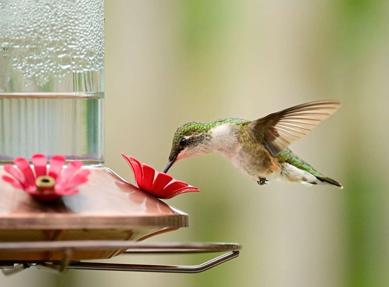 Soap-Free, Residue-Free Nectar