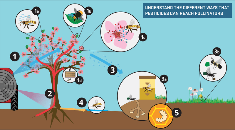 Manage pests without exposing foraging insects