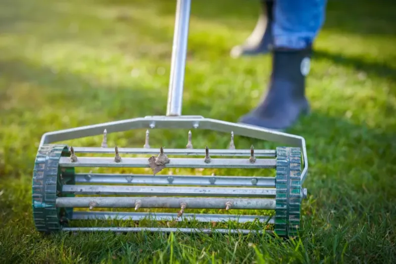 Match aeration timing to the grass and its condition