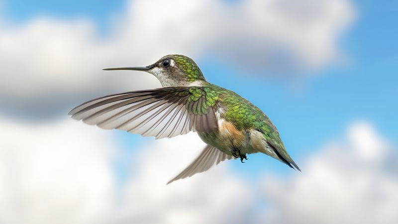 Migration can mimic a feeder problem