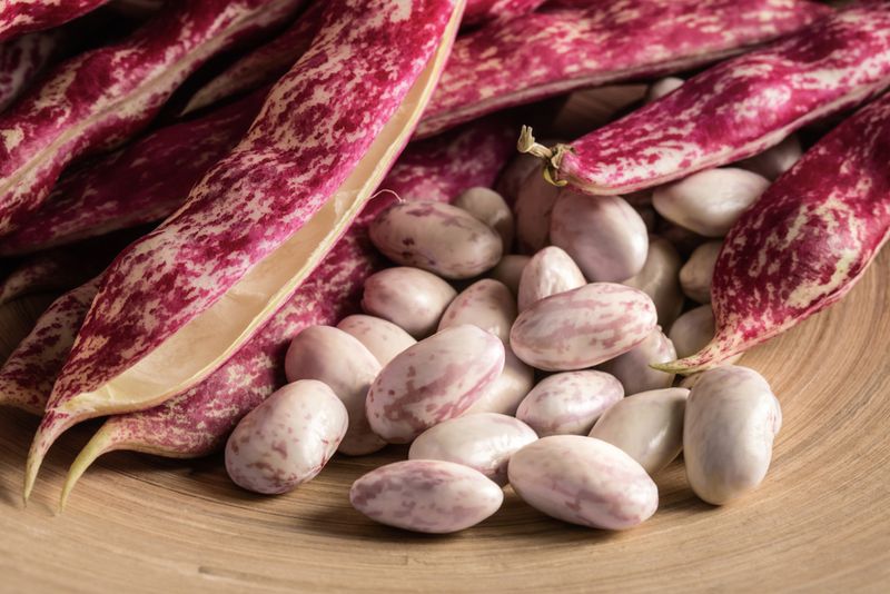 Fresh Cranberry Beans (Shell Beans)