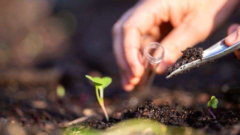 Confirm the bed before adding a nitrogen source