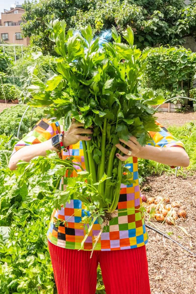 Celery