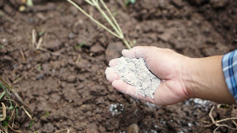 Sweeten the Soil With Lime