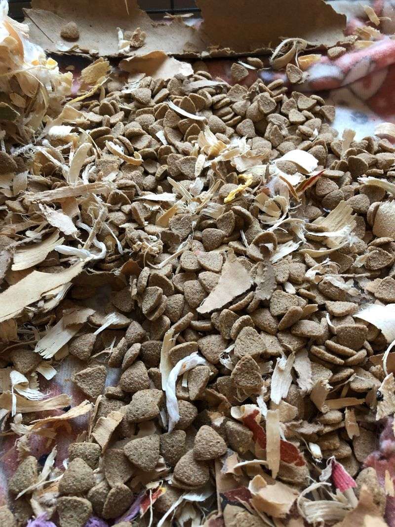 Hidden Food Stashes
