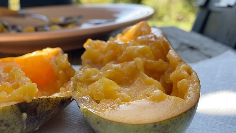 Pawpaws