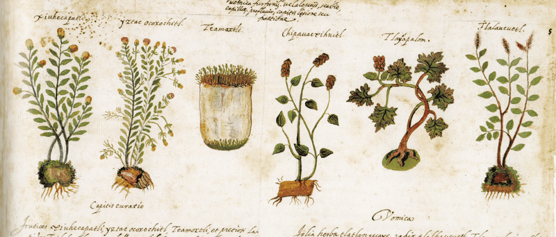 What the Ancient Record Does—and Does Not—Show