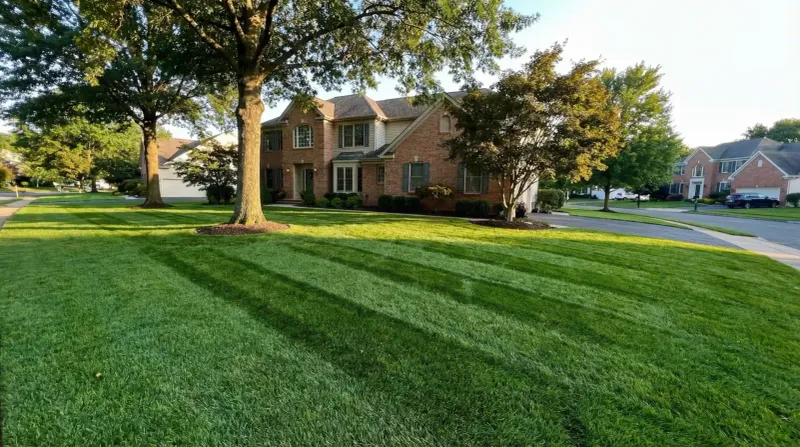 Choose grass and mowing practices that fit the site
