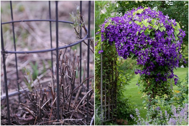 Pruning at the Wrong Time