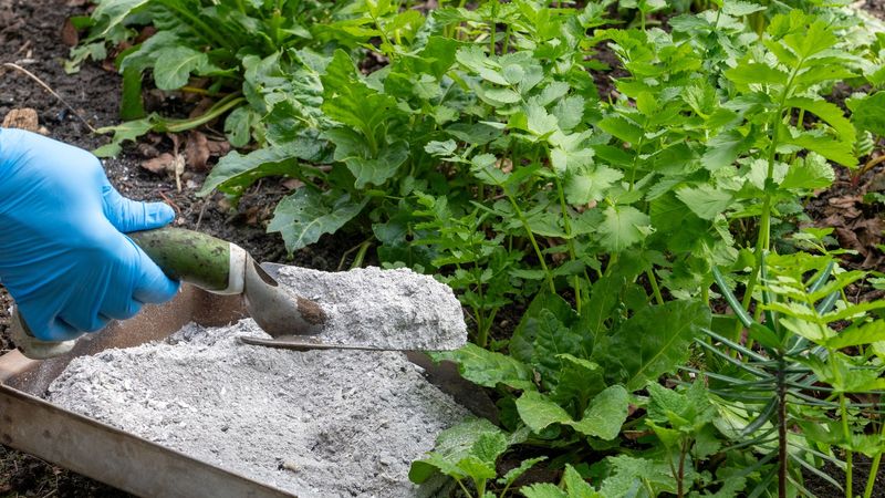Add Wood Ash for a Potassium Kick