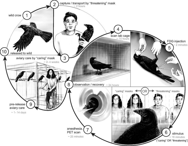 The Experiments Show Learned Recognition, Especially After Danger