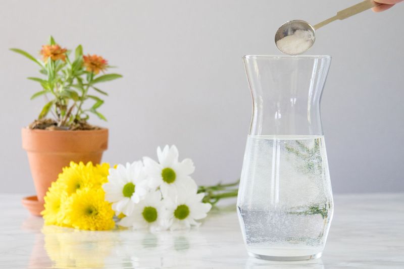 Sugar Water