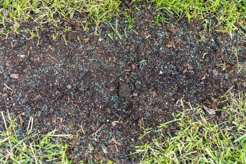 If conditions still support seeding, prioritize seed-to-soil contact