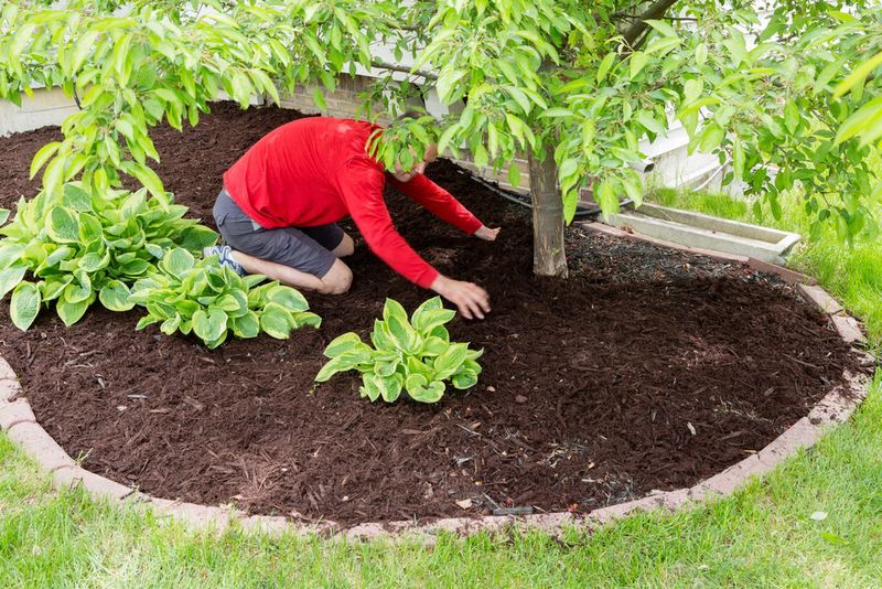 Inspect the soil line before disturbing the bed