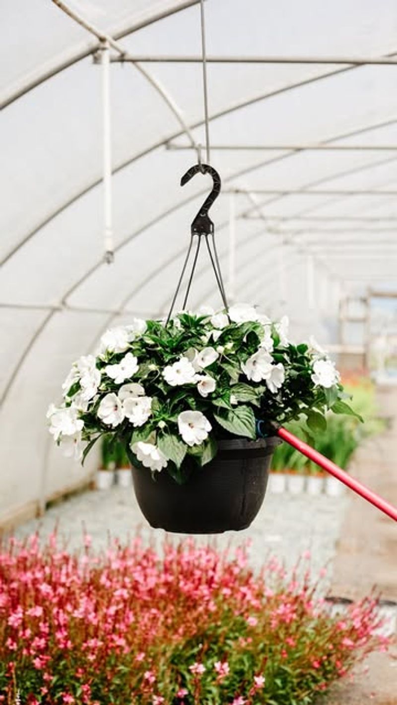 The basket may dry out long before its surface shows it