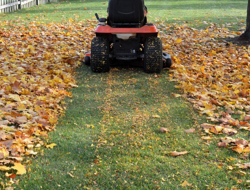 Shredded on the Lawn