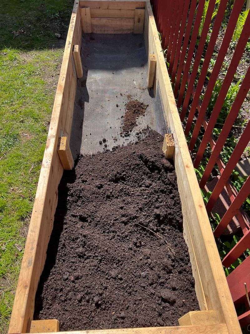 Move the bed or put a barrier between tomatoes and walnut roots