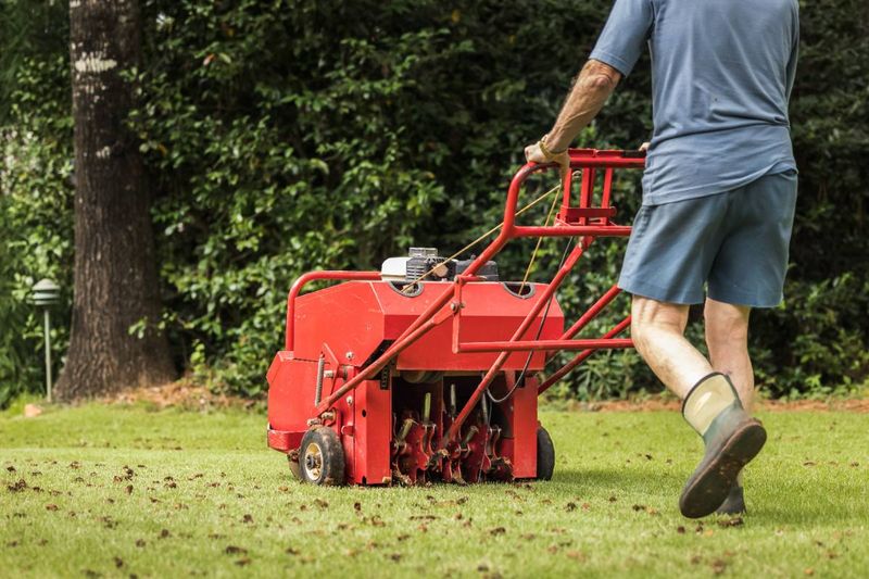 Use a hollow-core aerator to remove soil plugs
