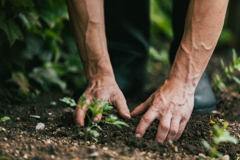 Check moisture below the surface before watering again