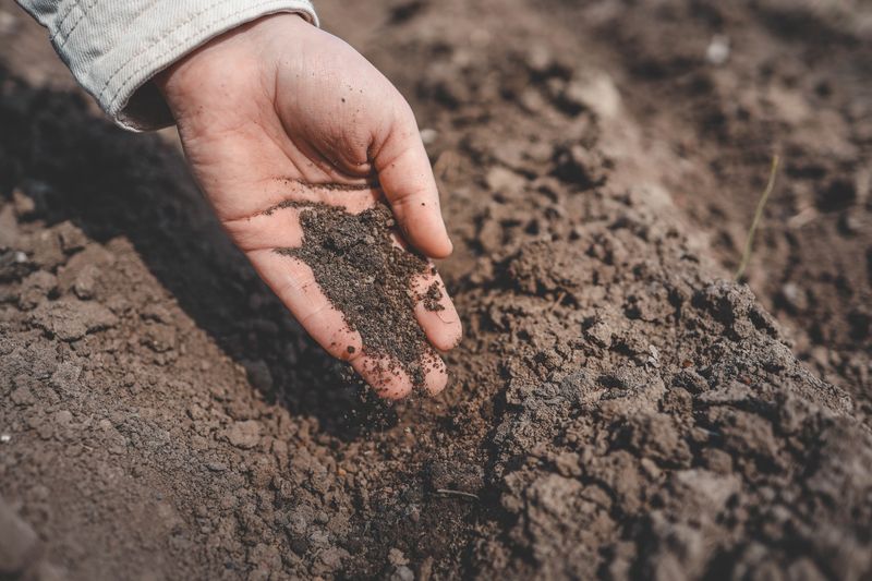 Soil That Cannot Hold Moisture