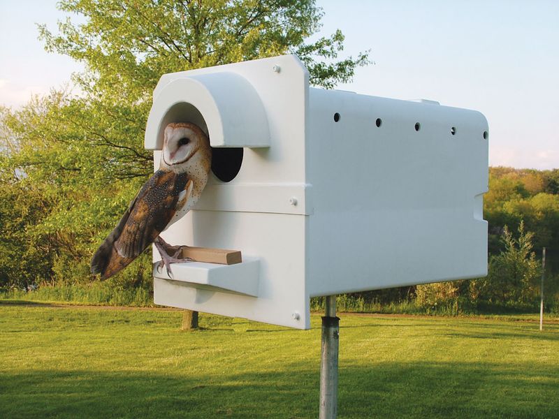 Keep pest control integrated and realistic