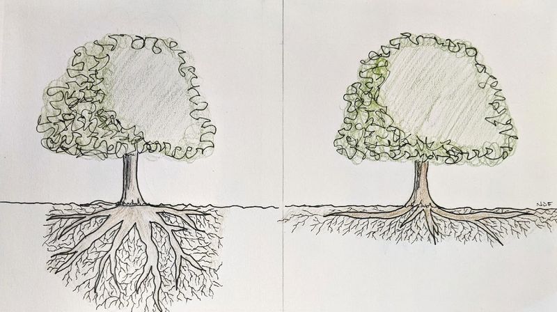 Underestimating How Wide Roots Spread
