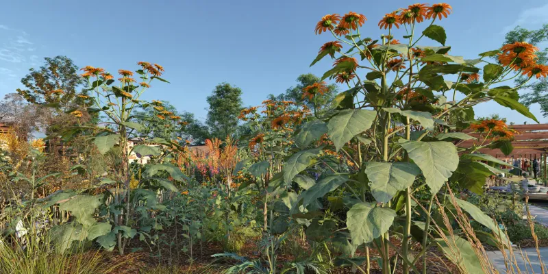 Choose full sun, good drainage, and enough room to grow