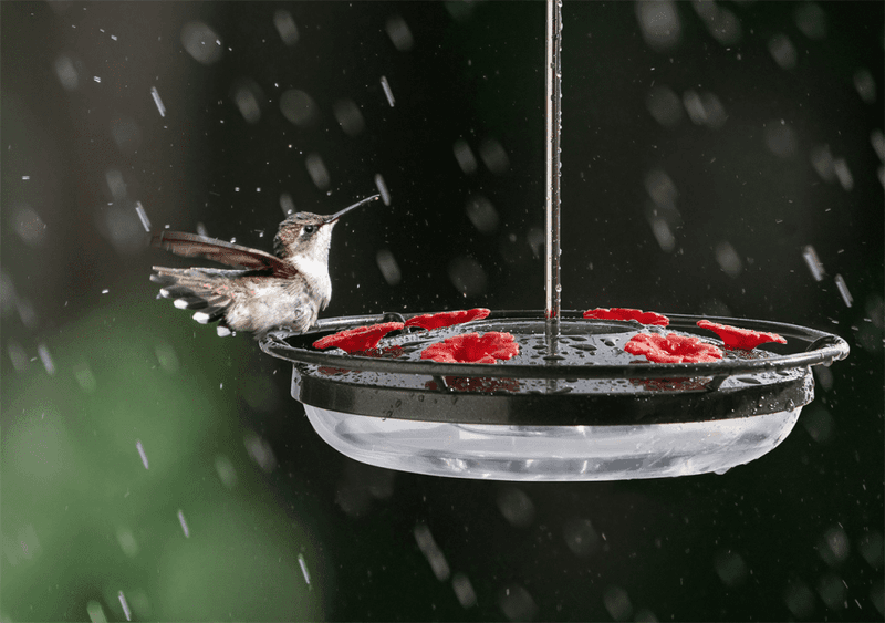 Prevents Wet Feathers
