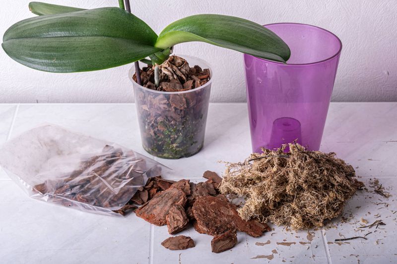 What the potting mix tells you