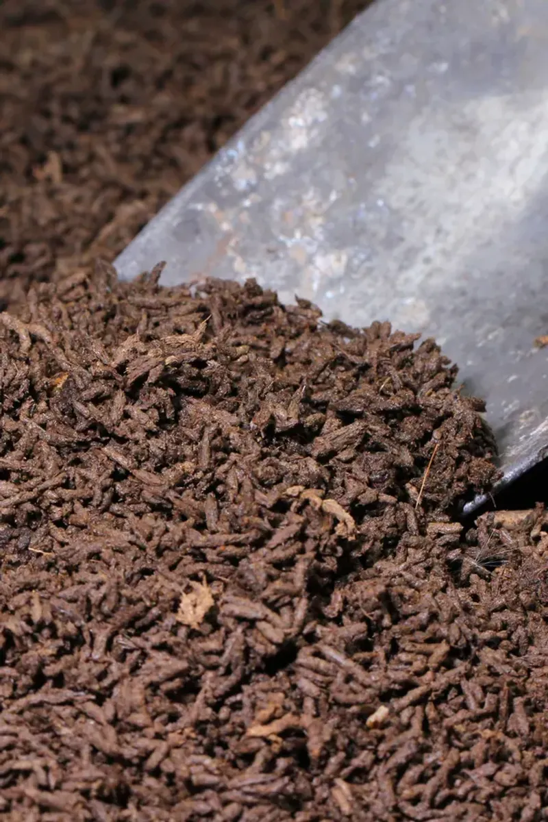 Worm Castings