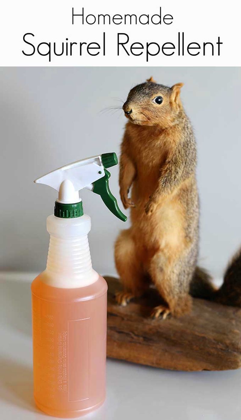 Apple Cider Vinegar Spray