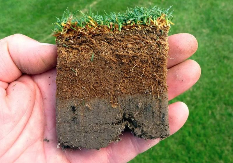 Thatch That Turns Into a Barrier