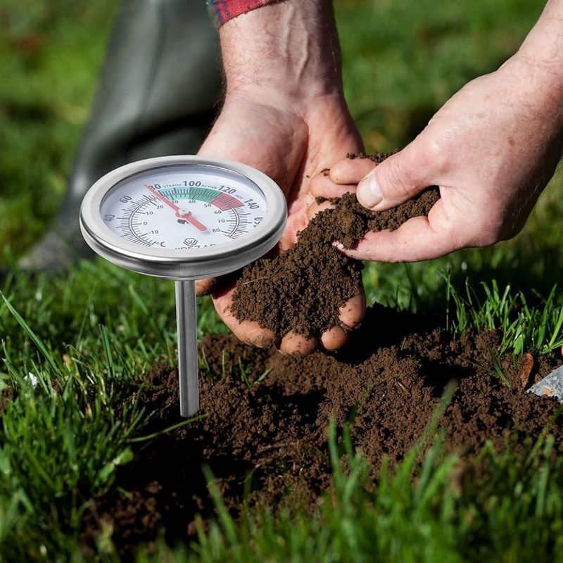 Planting Into Cold Soil