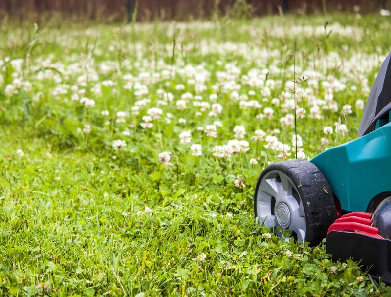 Mowing and clipping return help retain the benefit
