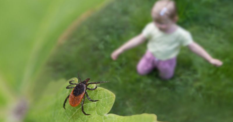 Protect children with checks, clothing, and labeled repellents